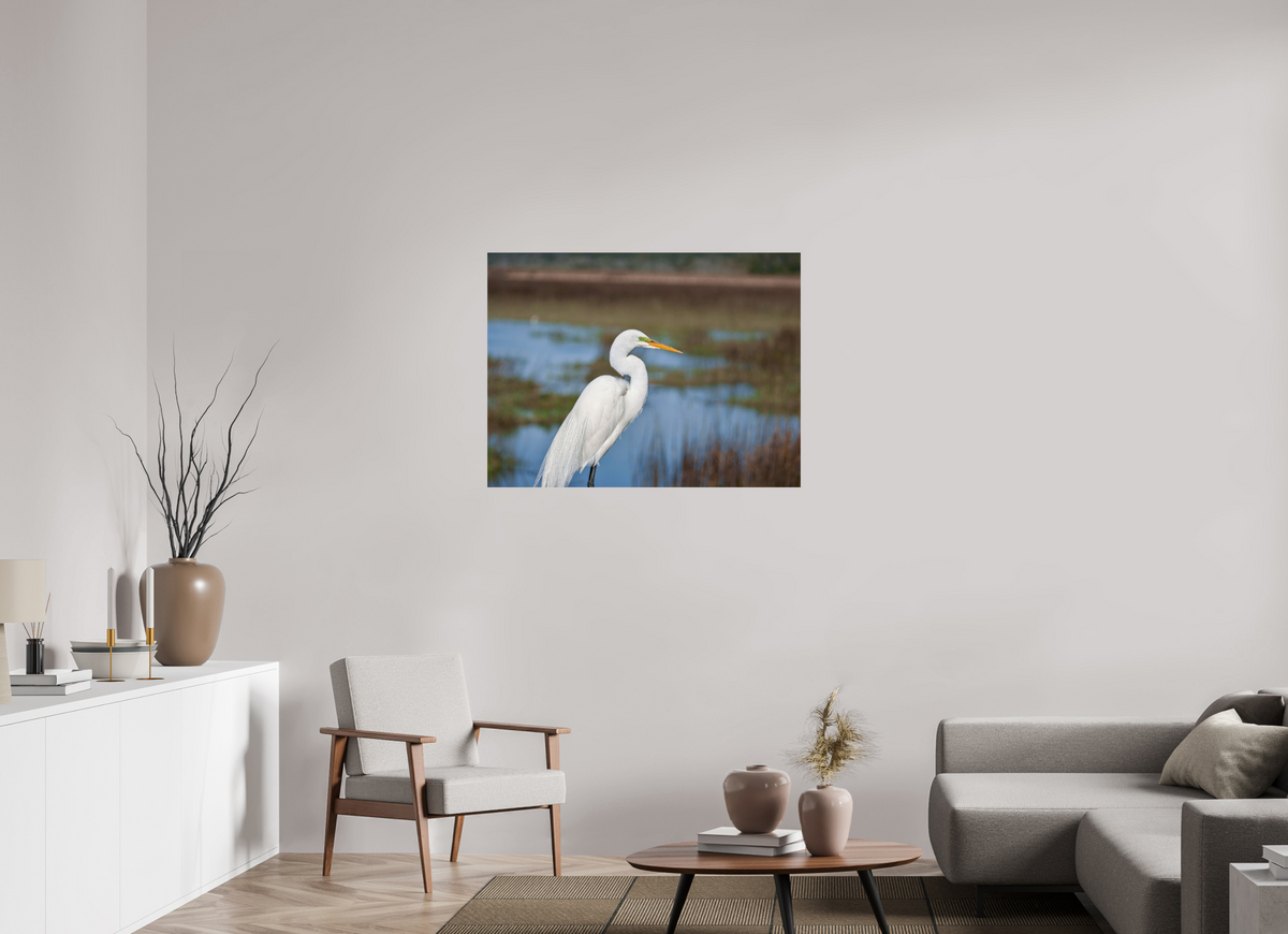 40 x 30″, Glossy Print (Unframed) A Great Egret