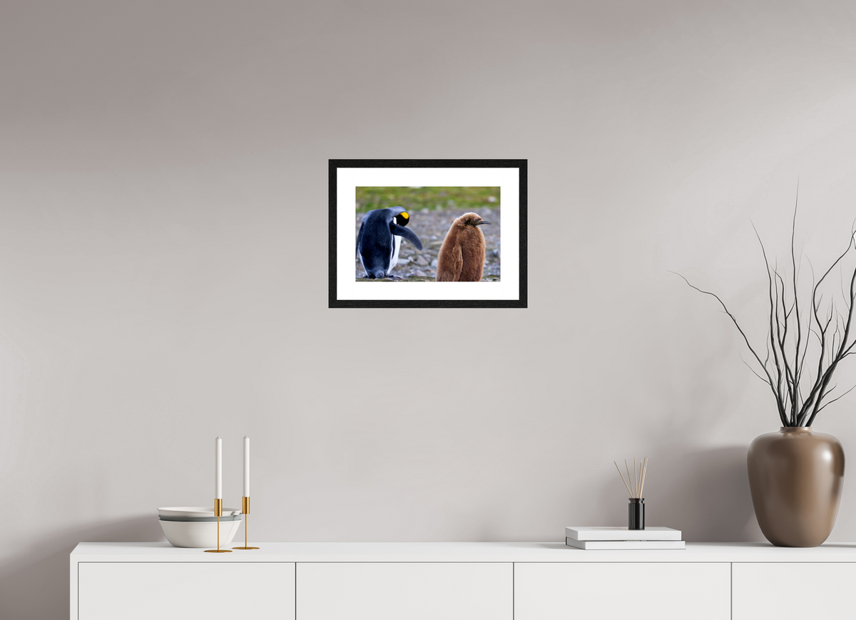 15 x 10″, Glossy Print (Framed) A19