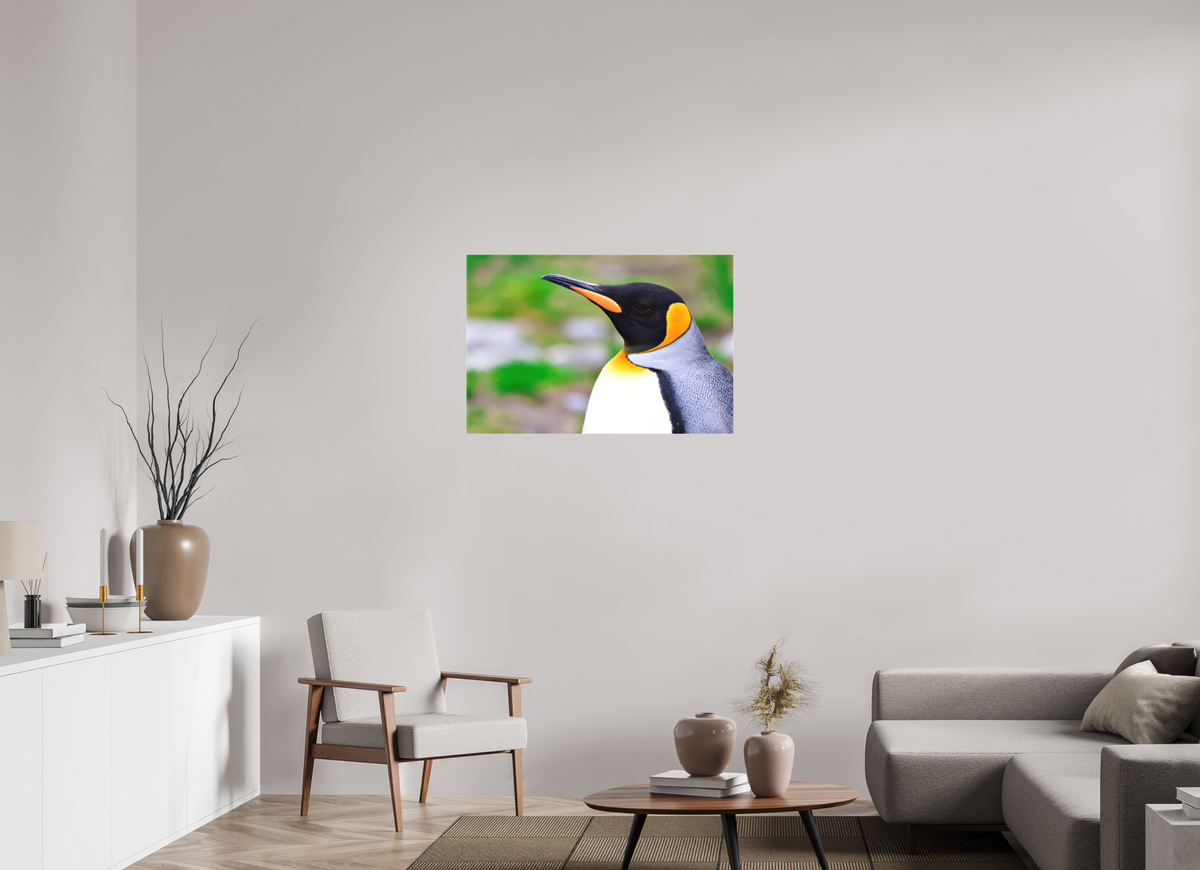 36 x 24″, Canvas Print A12