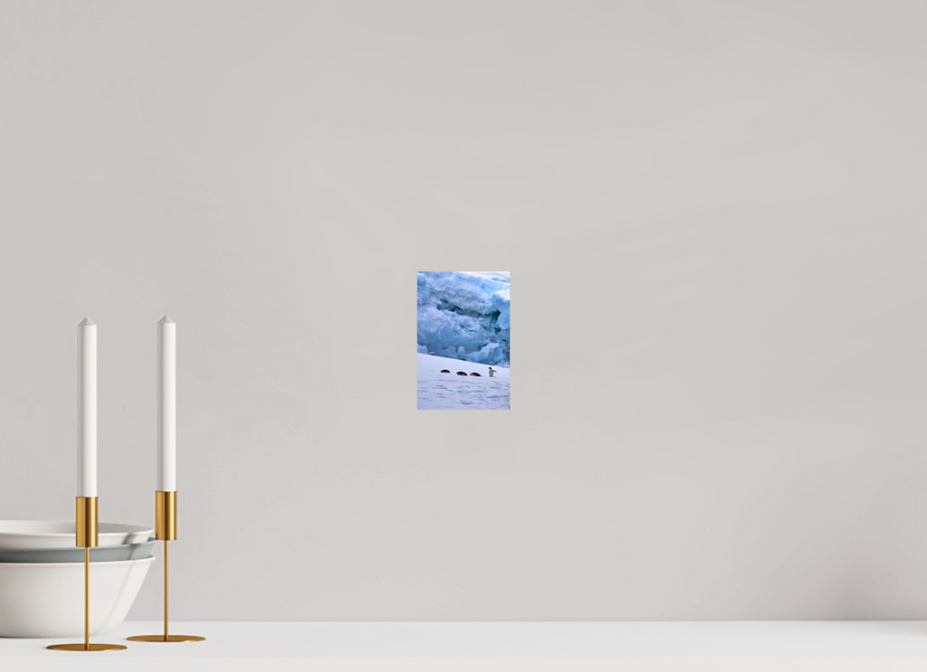 4 x 6″, Glossy Print (Unframed) A4