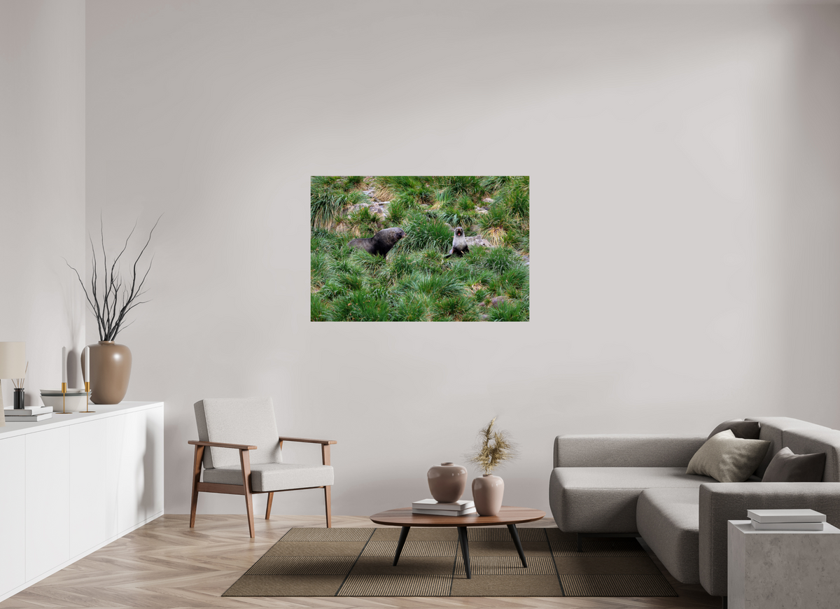 54 x 36″, Glossy Print (Unframed) A23