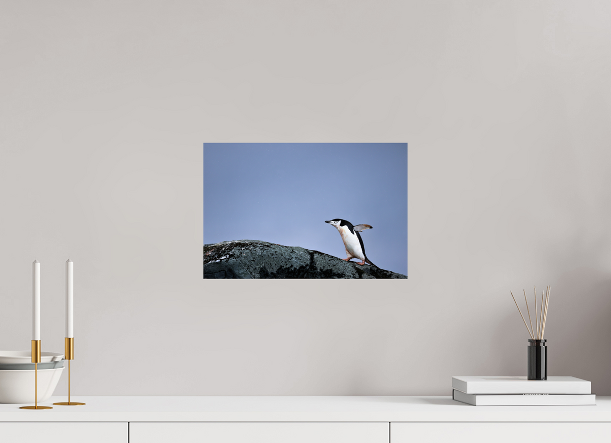 15 x 10″, Glossy Print (Unframed) A7