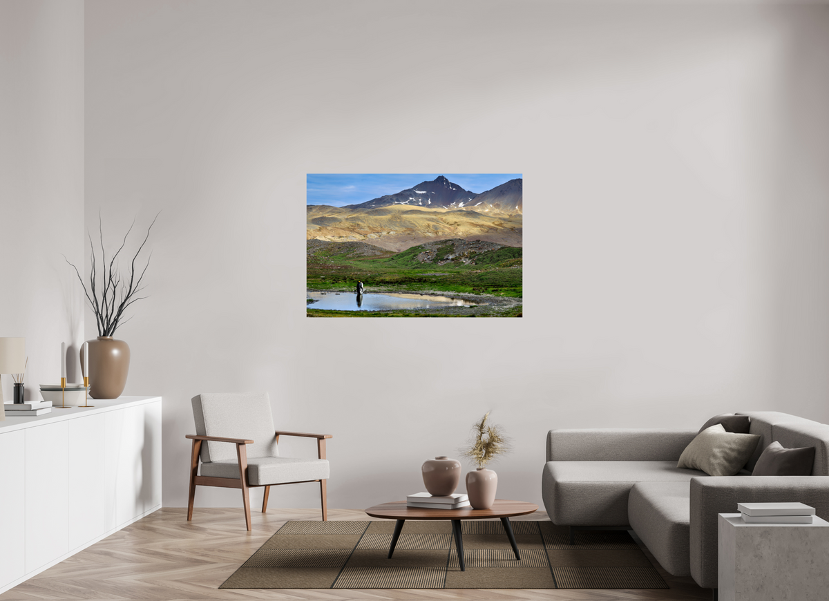 54 x 36″, Glossy Print (Unframed) A21