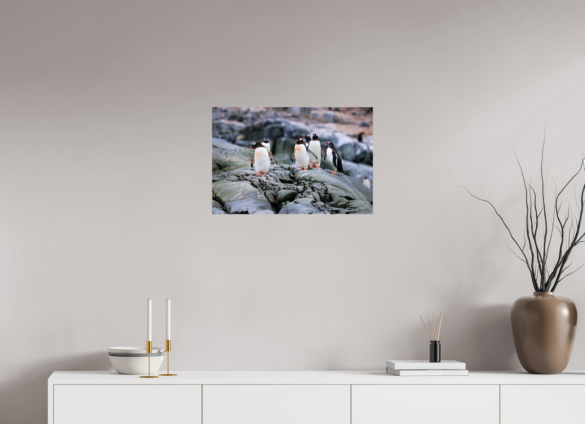 24 x 16″, Glossy Print (Unframed) A1