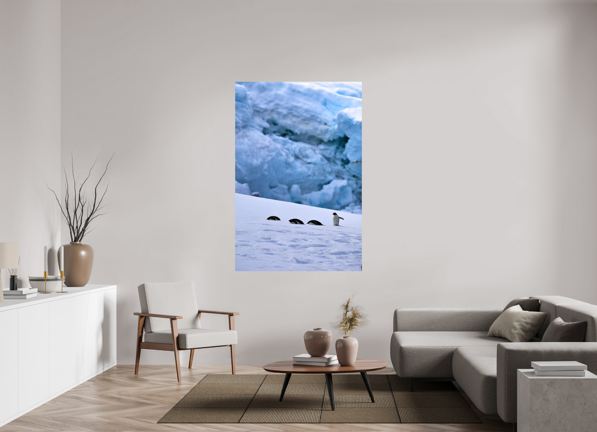 44 x 66″, Glossy Print (Unframed) A4