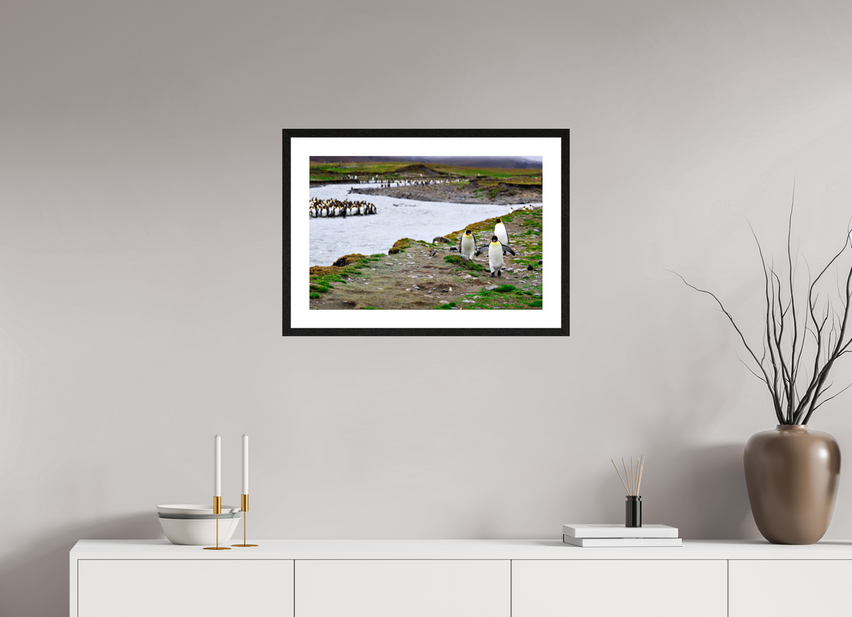 24 x 16″, Glossy Print (Framed) A14