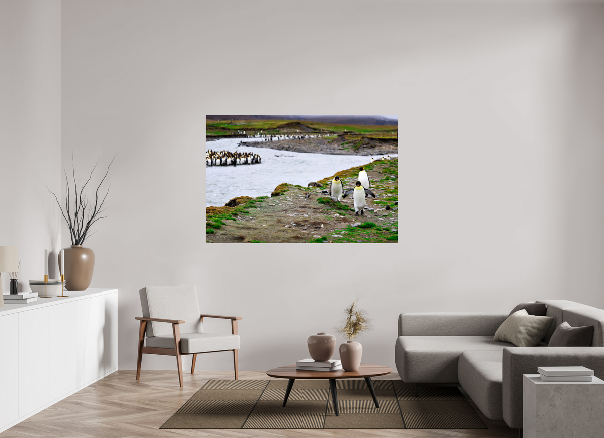 66 x 44″, Glossy Print (Unframed) A14