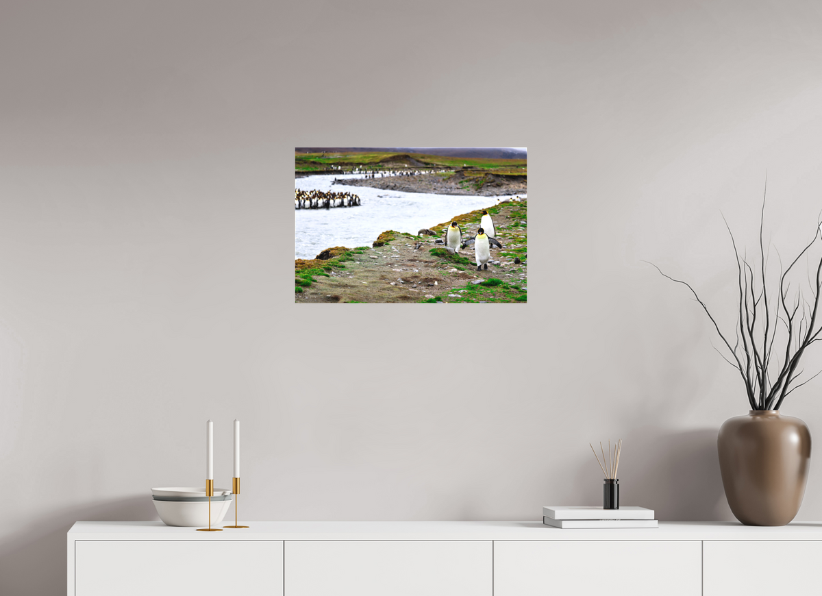 24 x 16″, Canvas Print A14