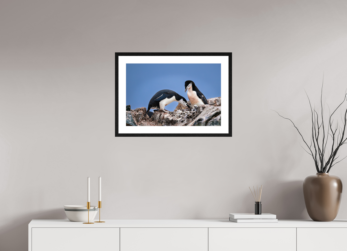 24 x 16″, Glossy Print (Framed) A6