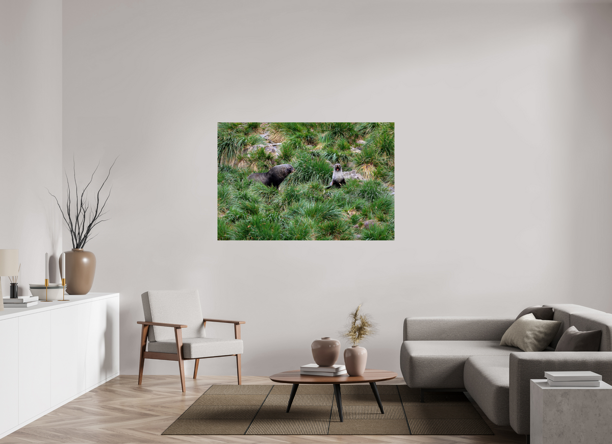 60 x 40″, Glossy Print (Unframed) A23
