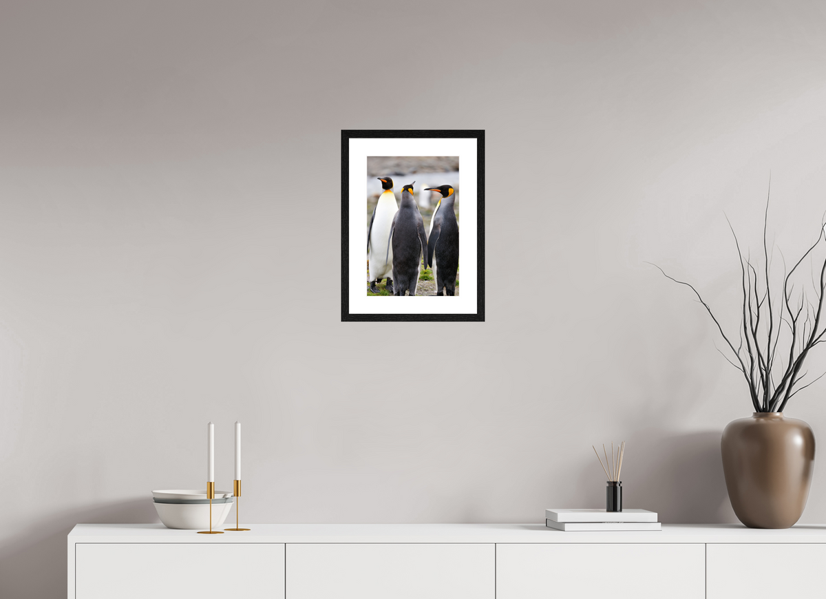 10 x 15″, Glossy Print (Framed) A13