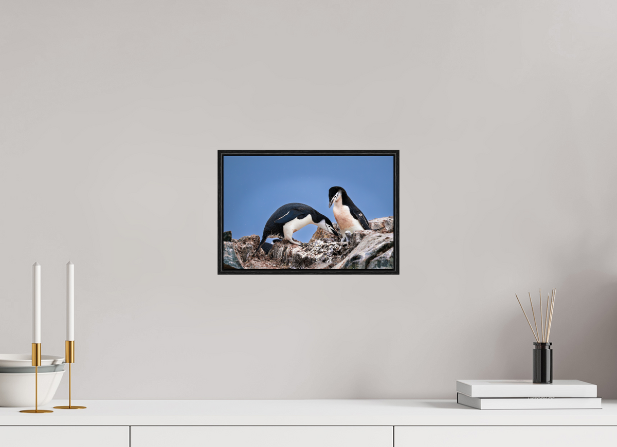12 x 8″, Acrylic under Glass (Framed) A6