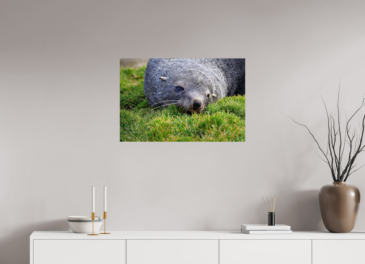 30 x 20″, Glossy Print (Unframed) A22