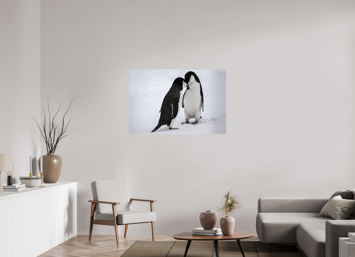 45 x 30″, Glossy Print (Unframed) A5