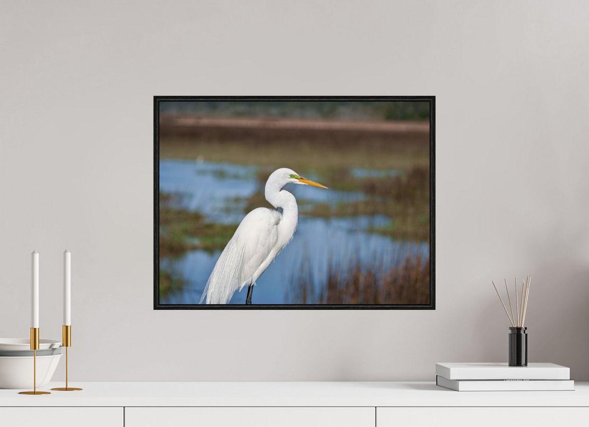 20 x 15″, Acrylic under Glass (Framed) A Great Egret