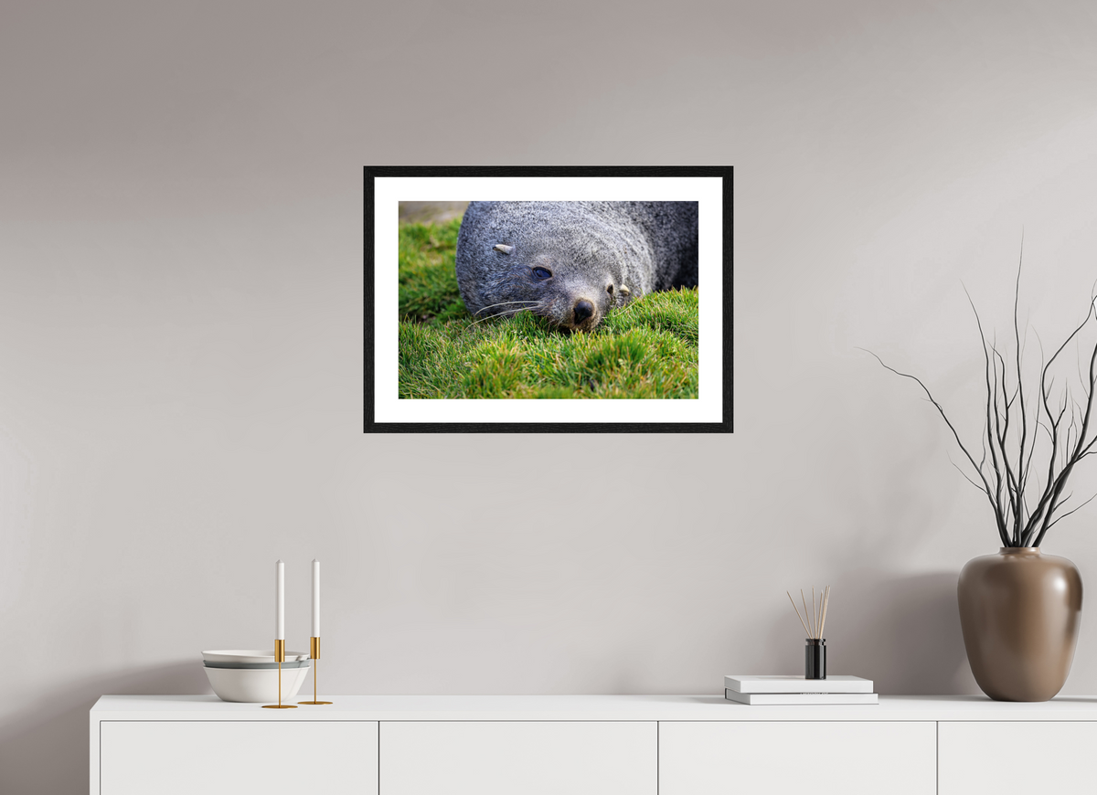 24 x 16″, Glossy Print (Framed) A22