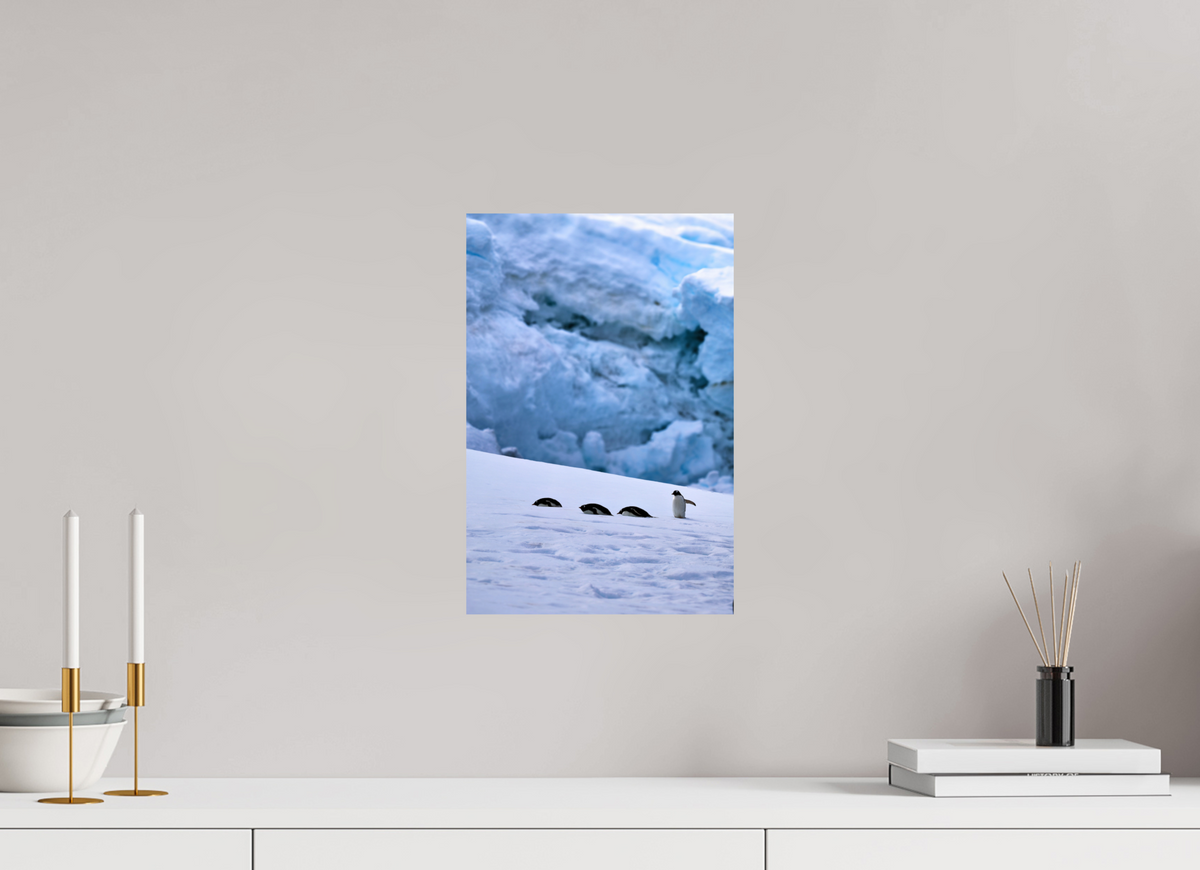 10 x 15″, Glossy Print (Unframed) A4