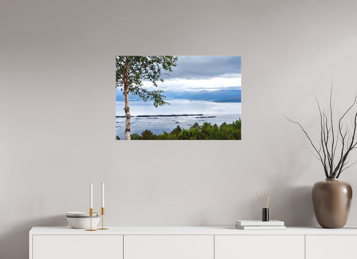 30 x 20″, Canvas Print Norway6