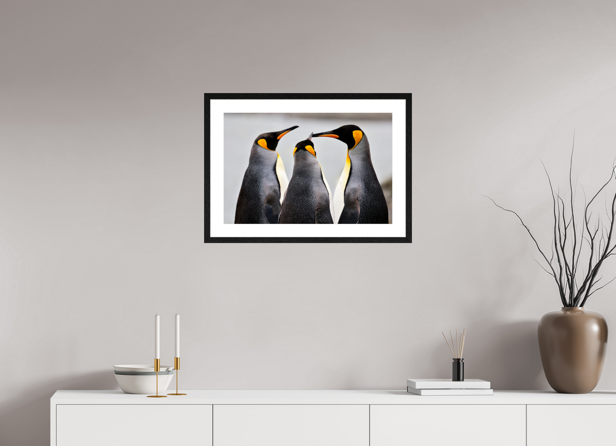 24 x 16″, Glossy Print (Framed) A12
