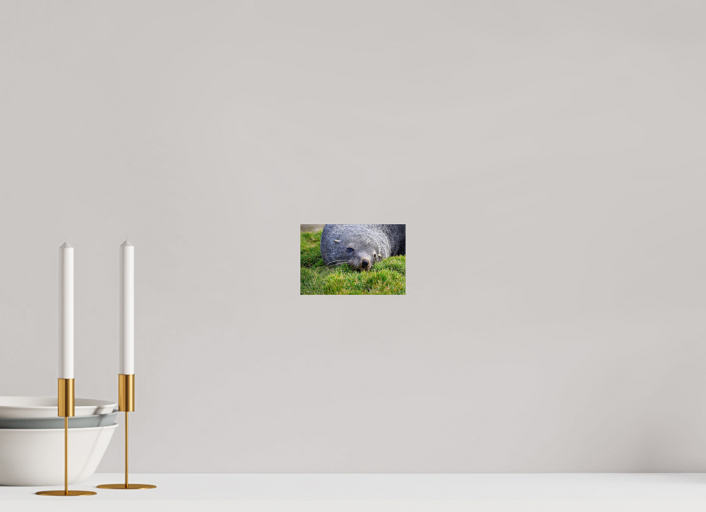 6 x 4″, Glossy Print (Unframed) A22