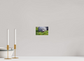 6 x 4″, Glossy Print (Unframed) A22