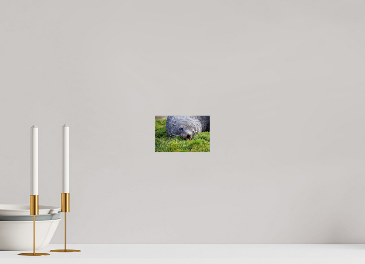 6 x 4″, Glossy Print (Unframed) A22
