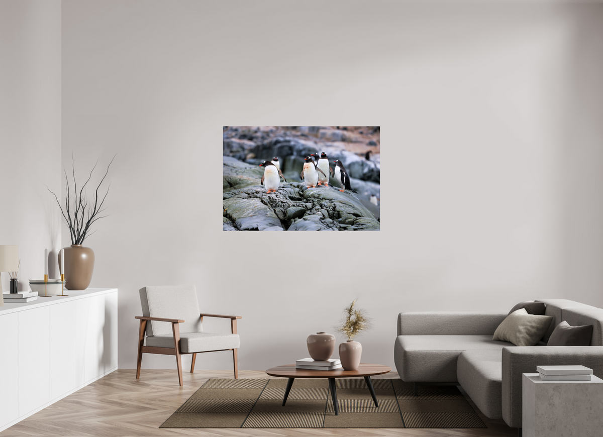54 x 36″, Glossy Print (Unframed) A1