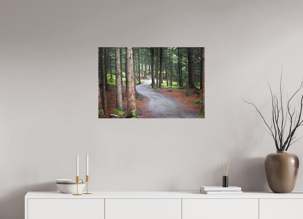 30 x 20″, Canvas Print Norway13