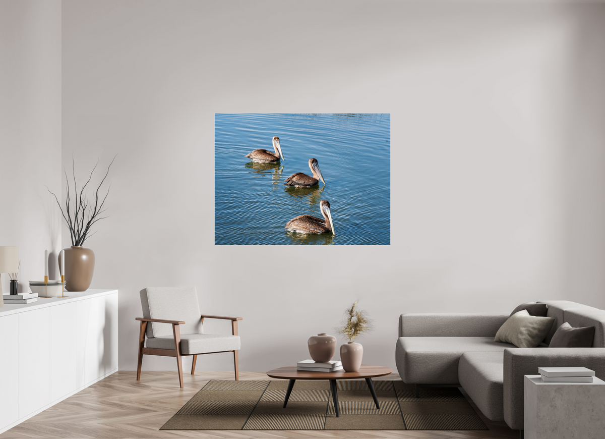 60 x 45″, Acrylic under Glass (Unframed) Triple Brown Pelican