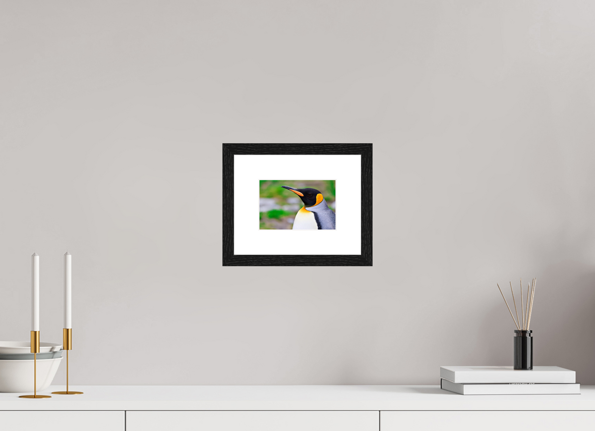 6 x 4″, Glossy Print (Framed) A12