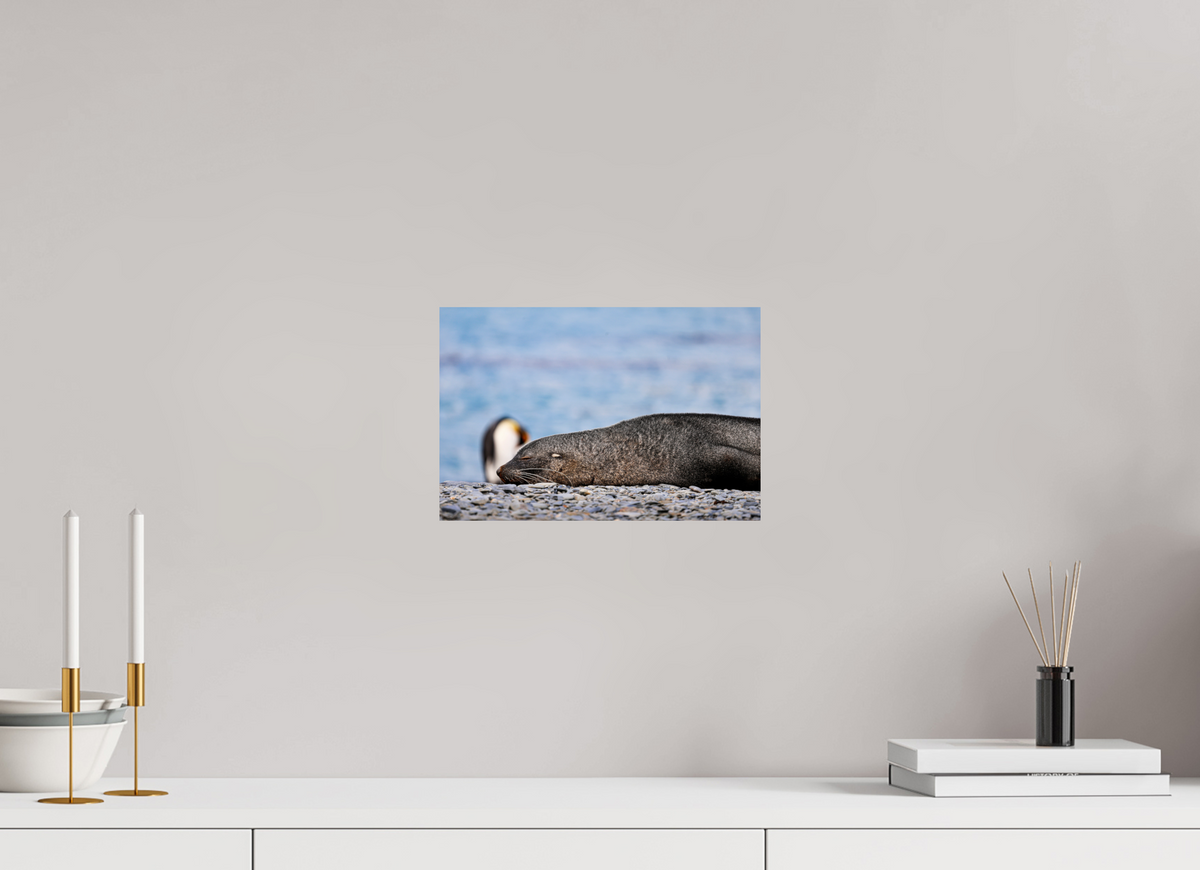 12 x 8″, Glossy Print (Unframed) A17