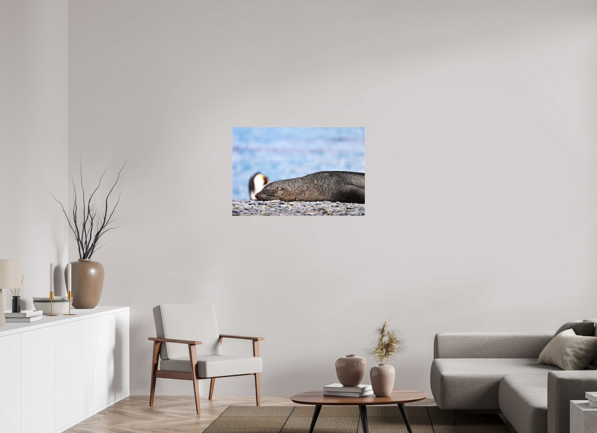 36 x 24″, Canvas Print A17