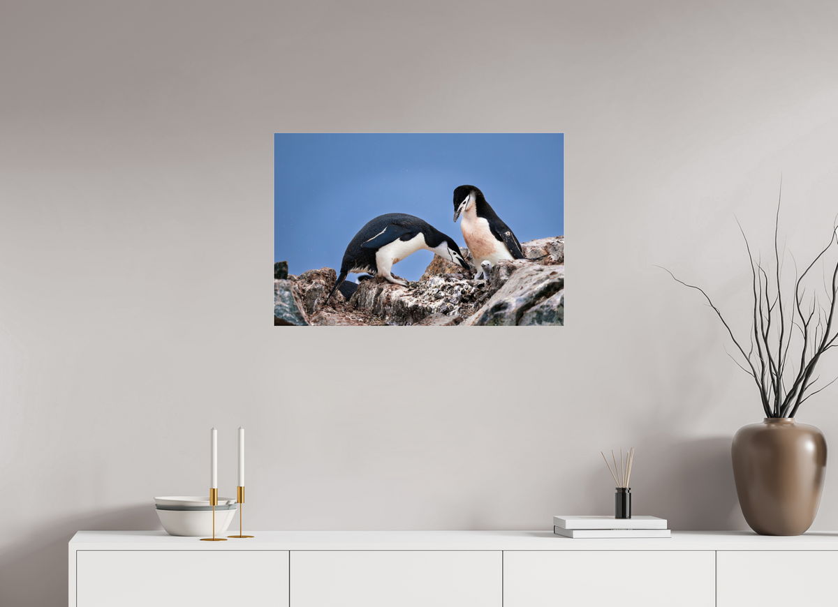 30 x 20″, Acrylic under Glass (Unframed) A6