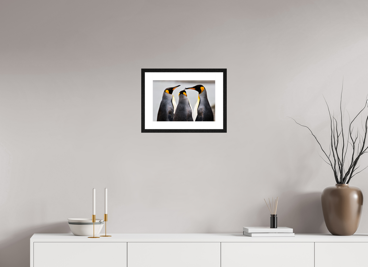 15 x 10″, Glossy Print (Framed) A12