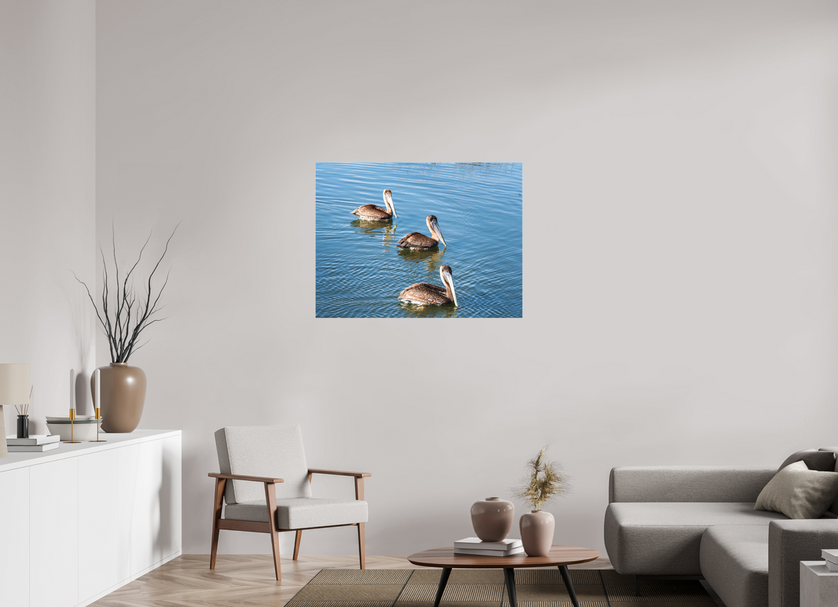 40 x 30″, Canvas Print Triple Brown Pelican