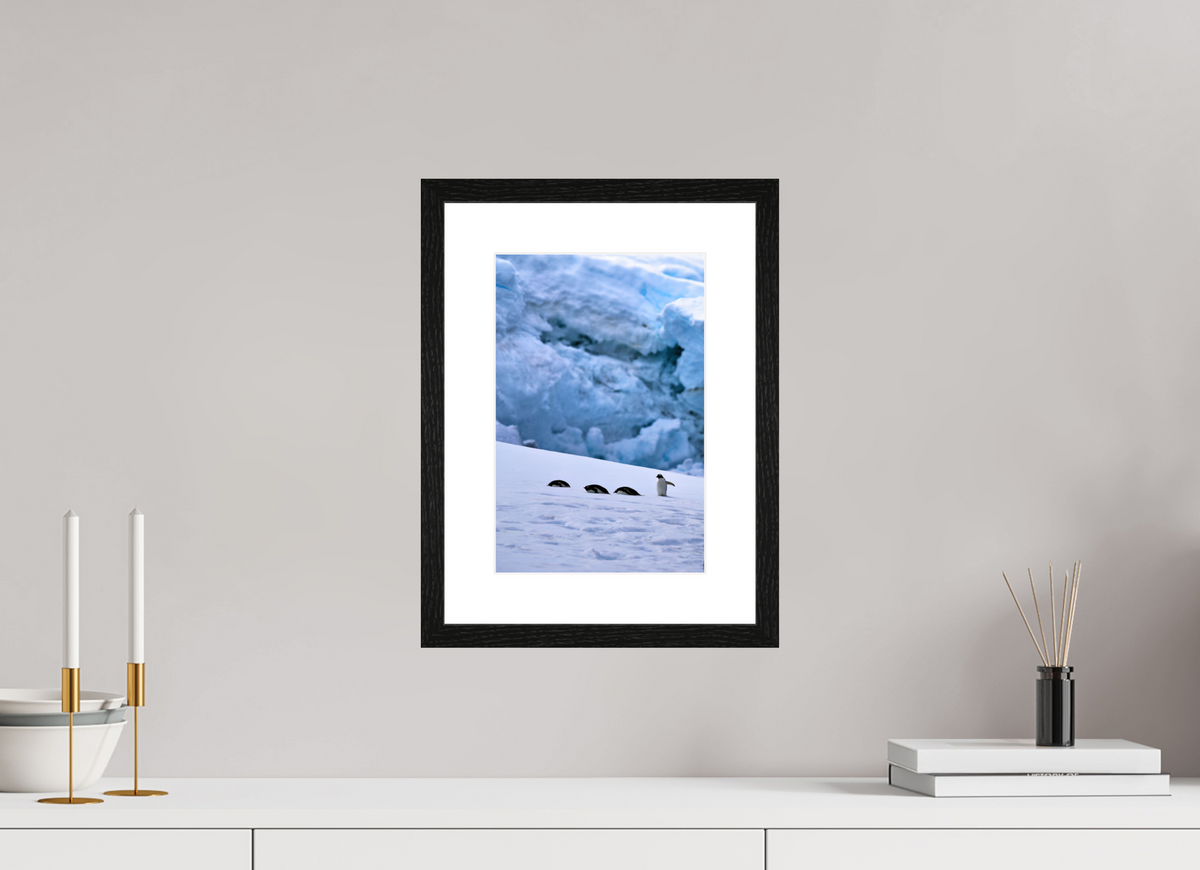 8 x 12″, Glossy Print (Framed) A4