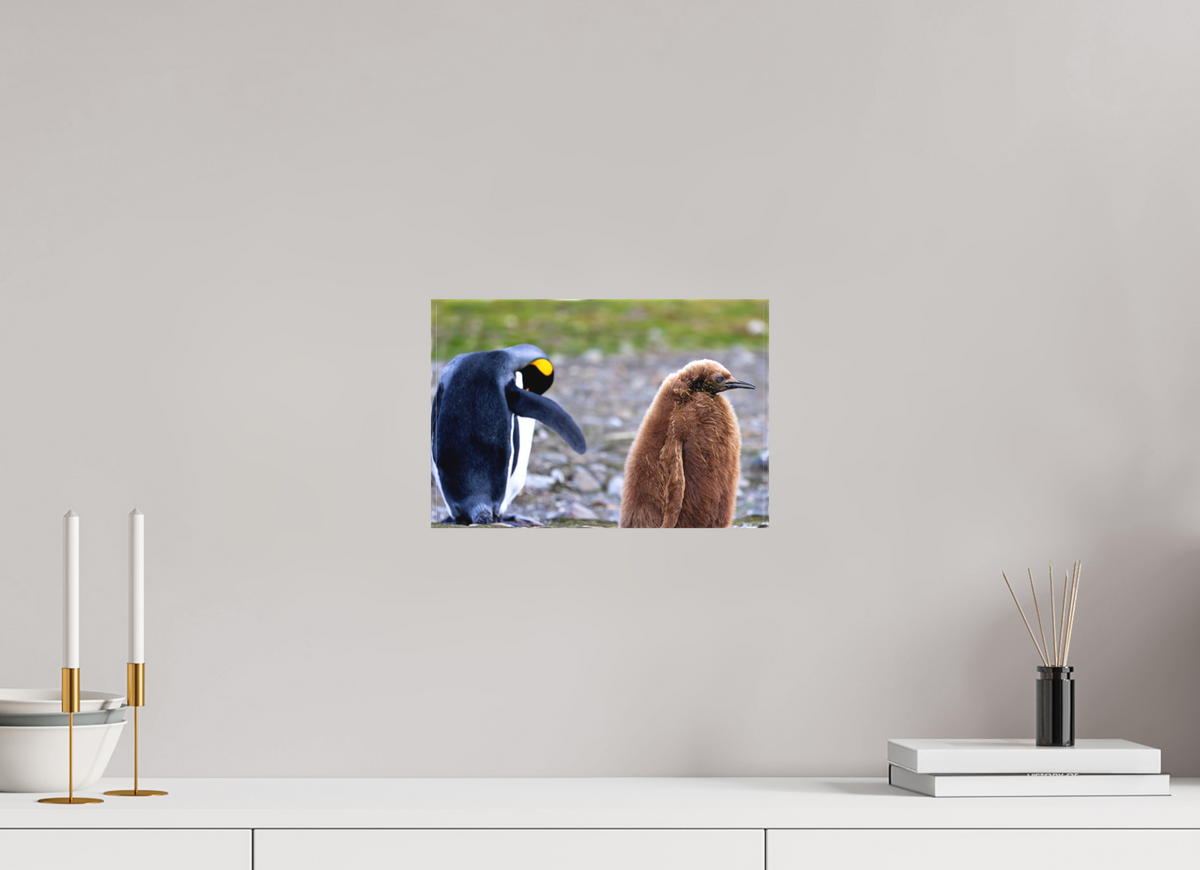12 x 8″, Canvas Print A19