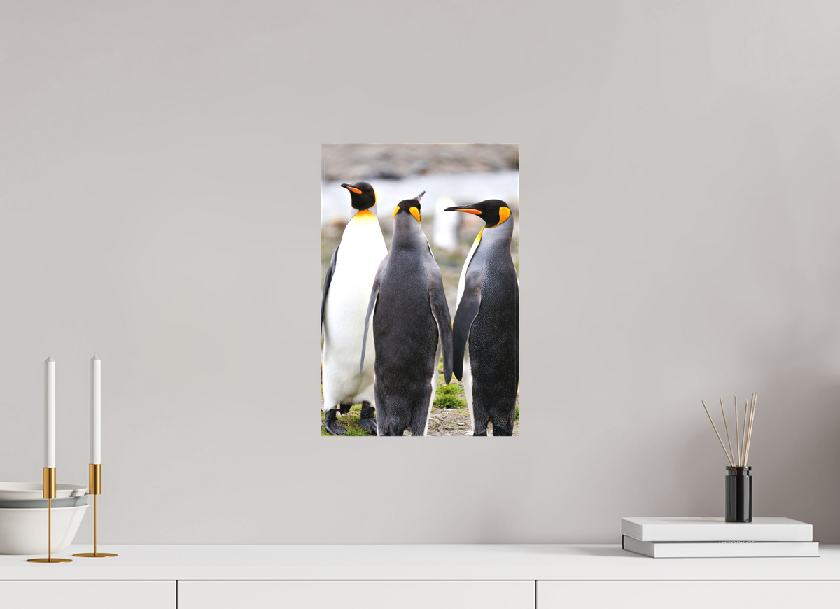10 x 15″, Canvas Print A13