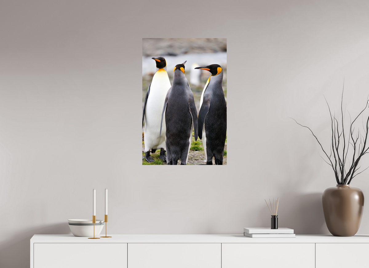 20 x 30″, Glossy Print (Unframed) A13