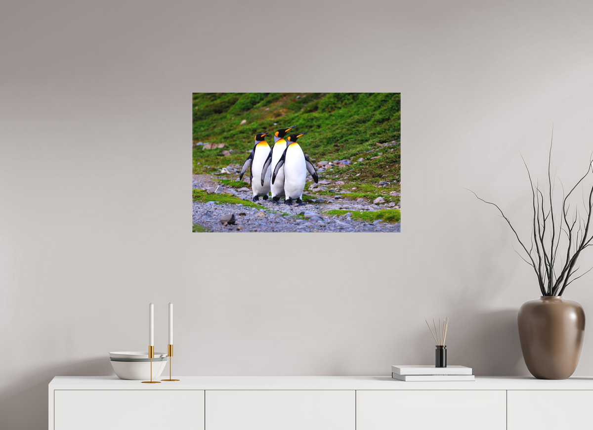 30 x 20″, Canvas Print A18