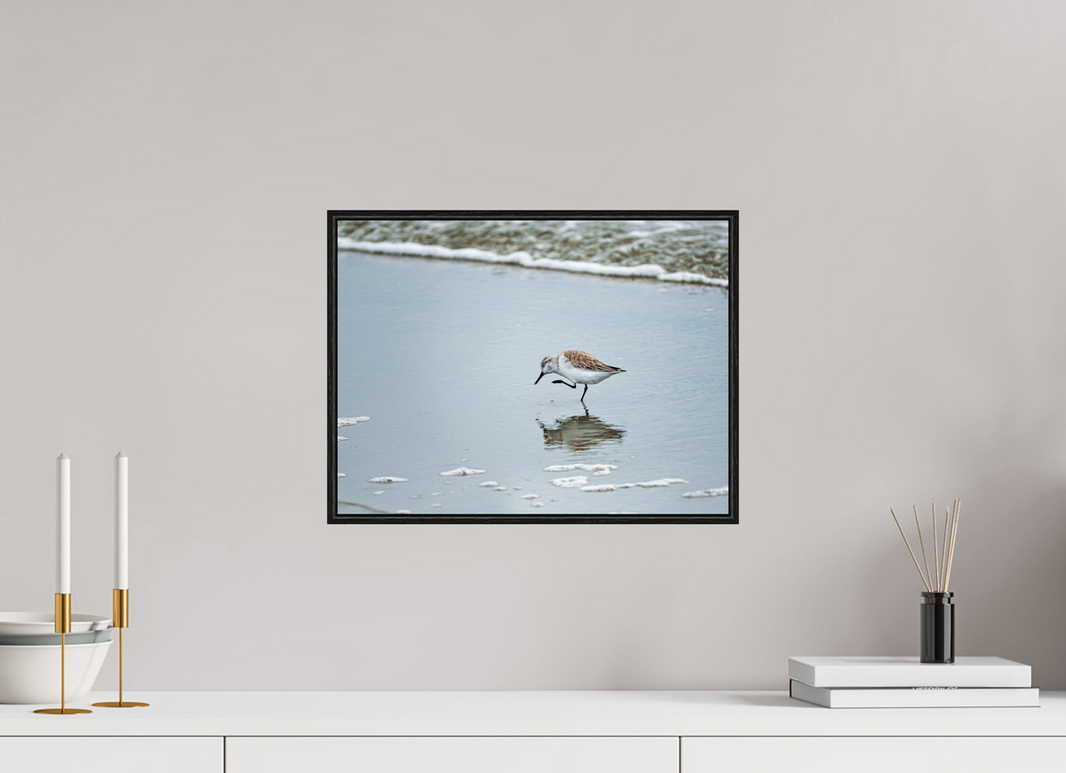 16 x 12″, Acrylic under Glass (Framed) A Sanderling Scratch