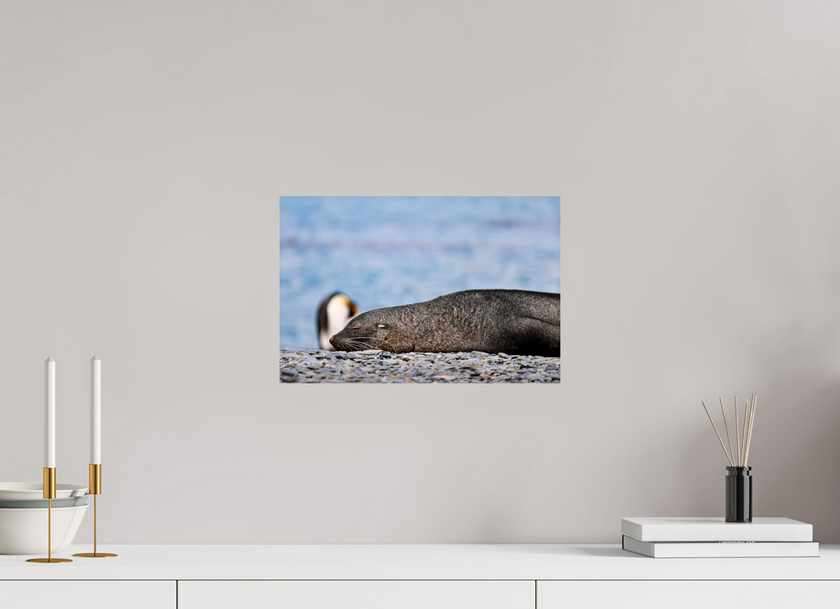 15 x 10″, Glossy Print (Unframed) A17