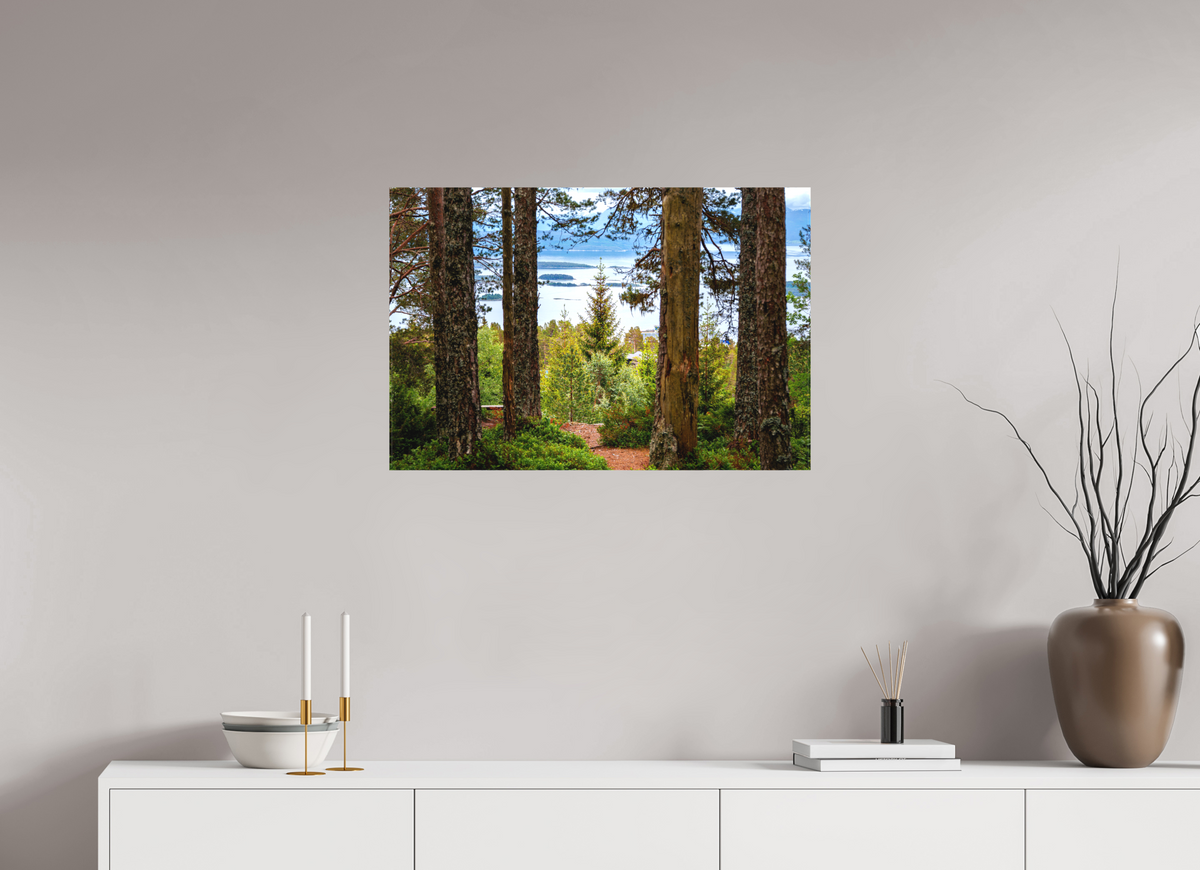 30 x 20″, Canvas Print Norway5