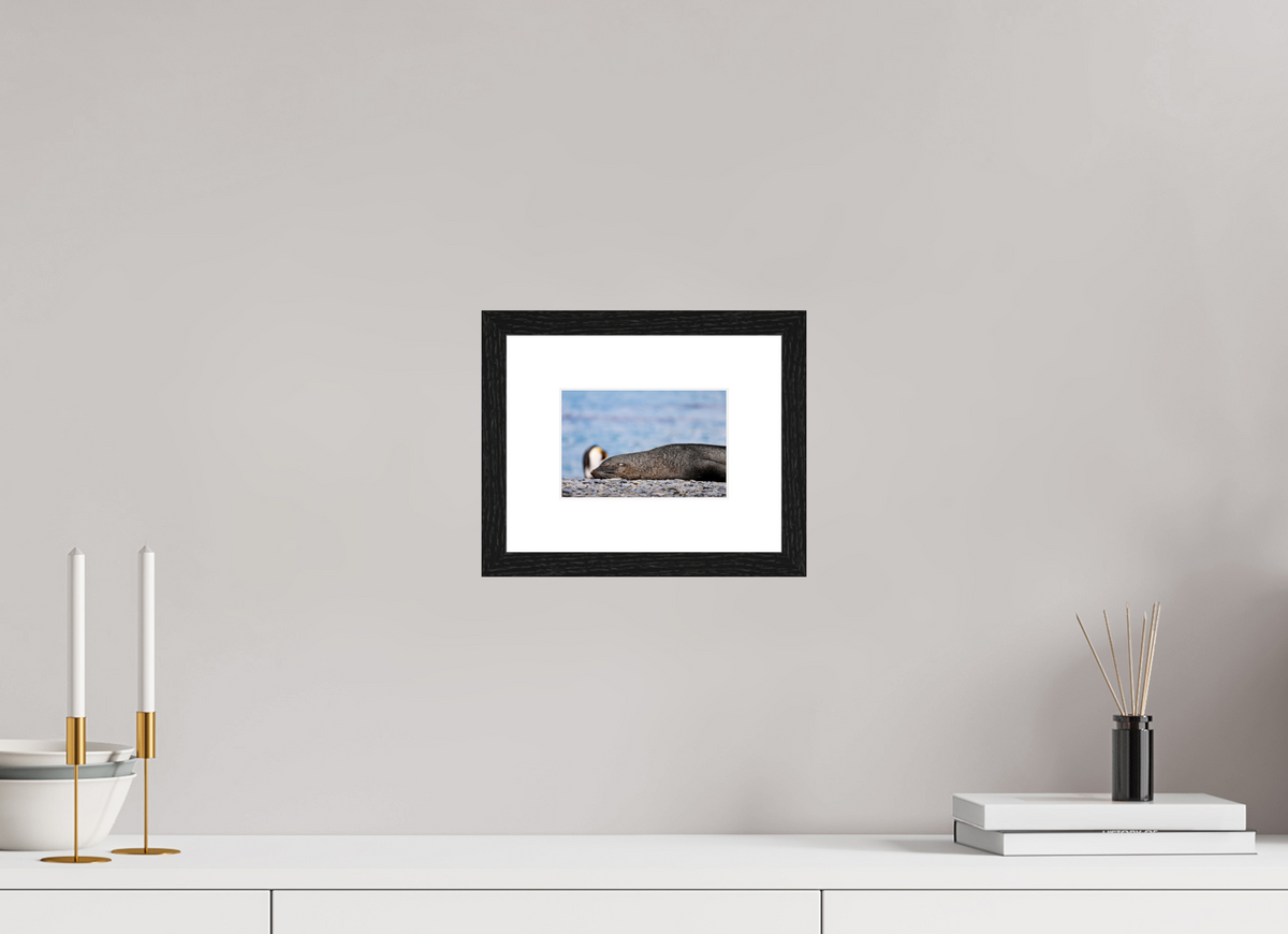 6 x 4″, Glossy Print (Framed) A17