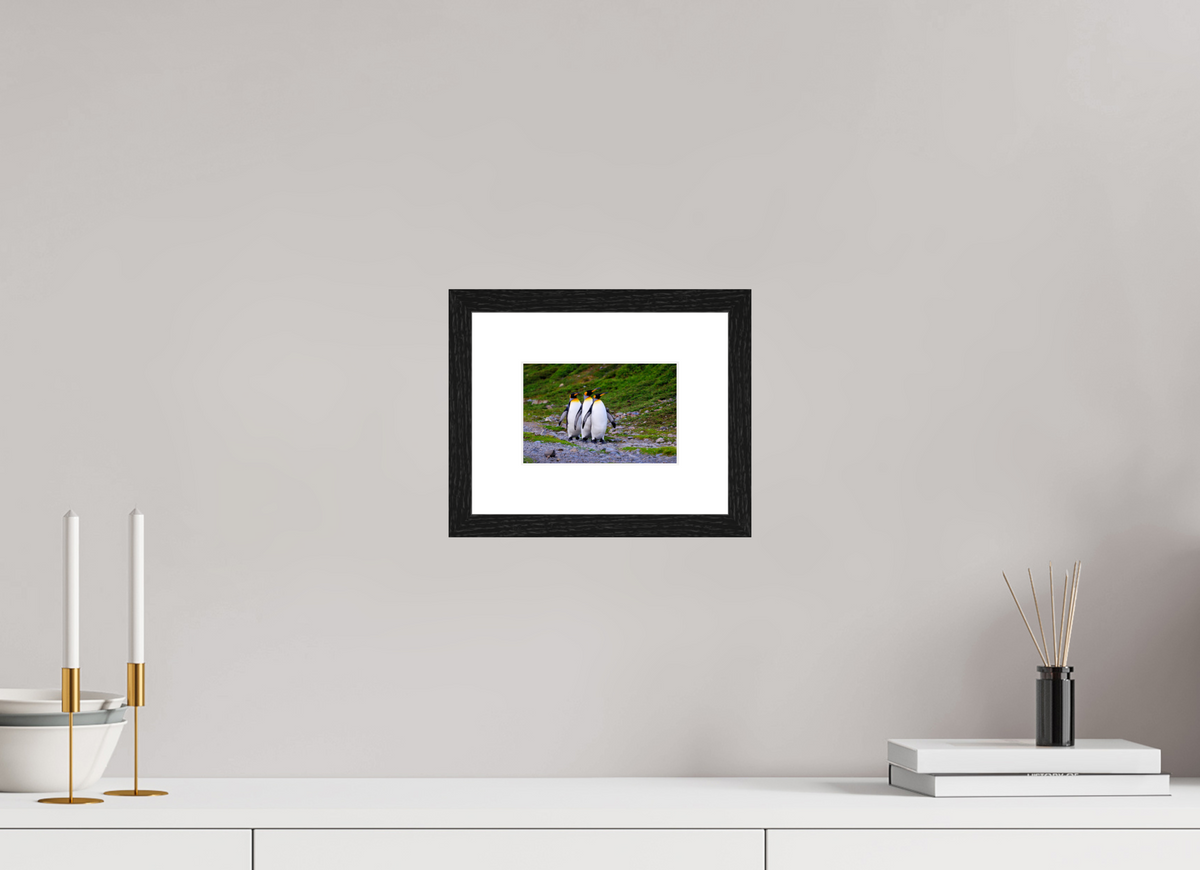6 x 4″, Glossy Print (Framed) A18