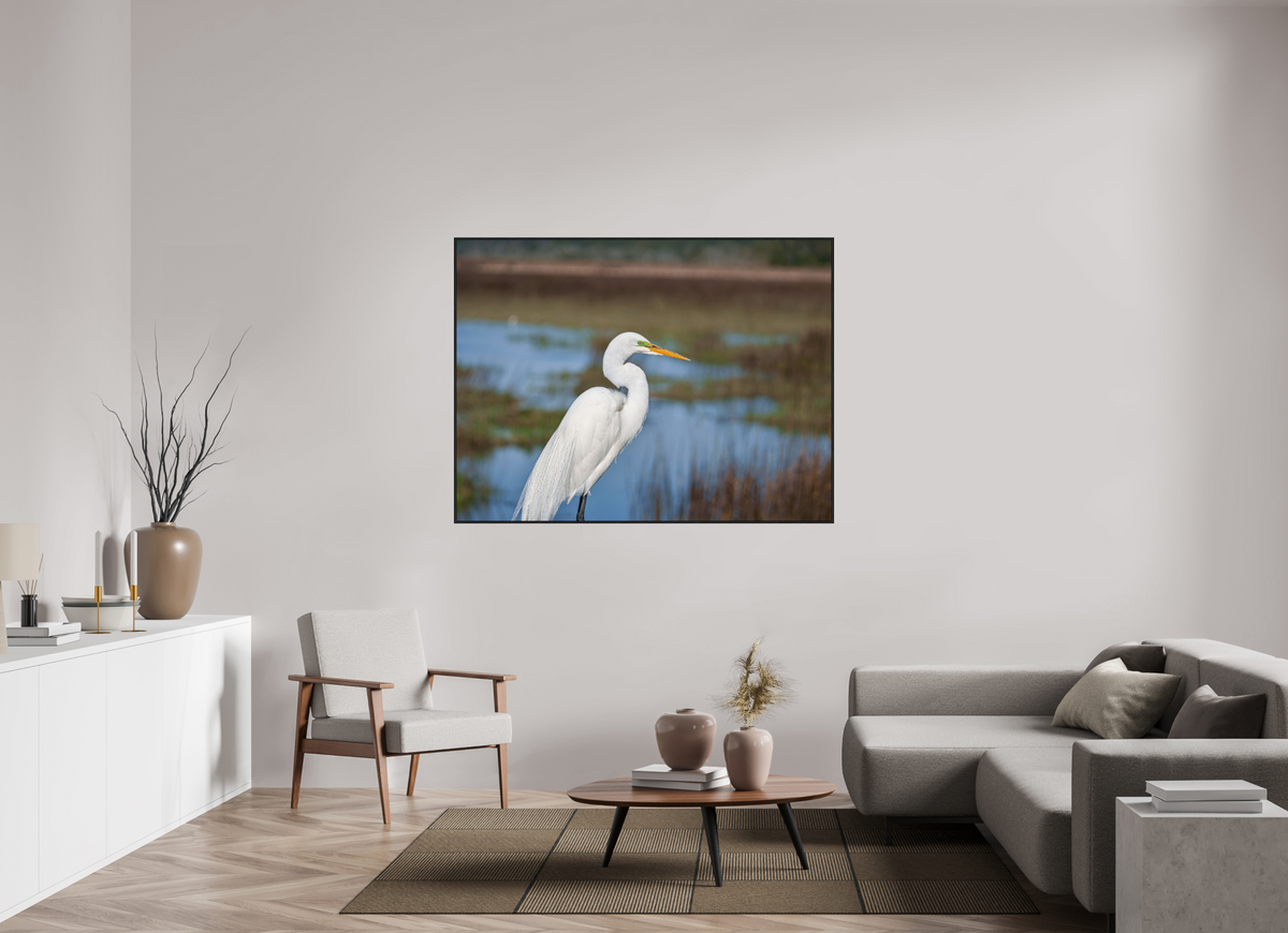60 x 45″, Acrylic under Glass (Framed) A Great Egret
