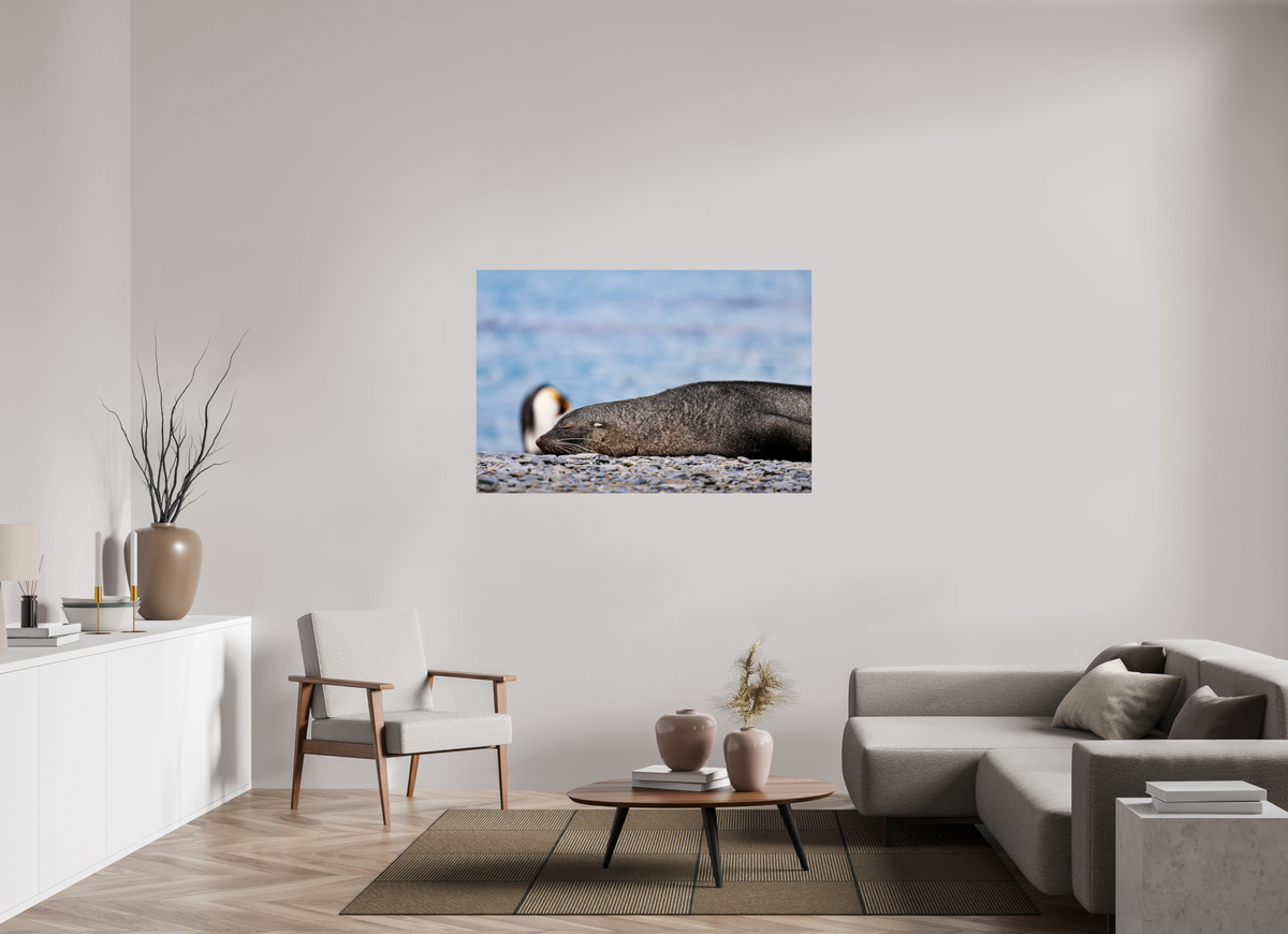 54 x 36″, Glossy Print (Unframed) A17