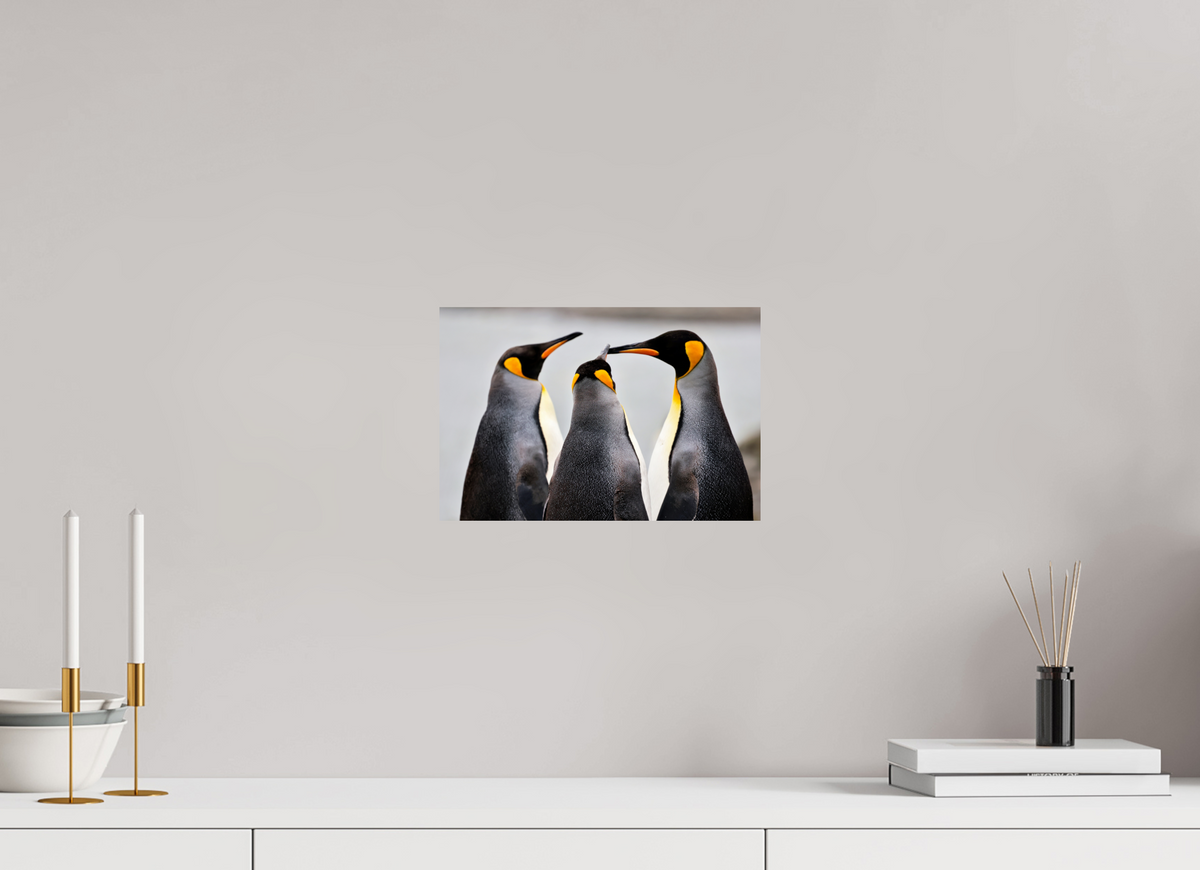 12 x 8″, Glossy Print (Unframed) A12