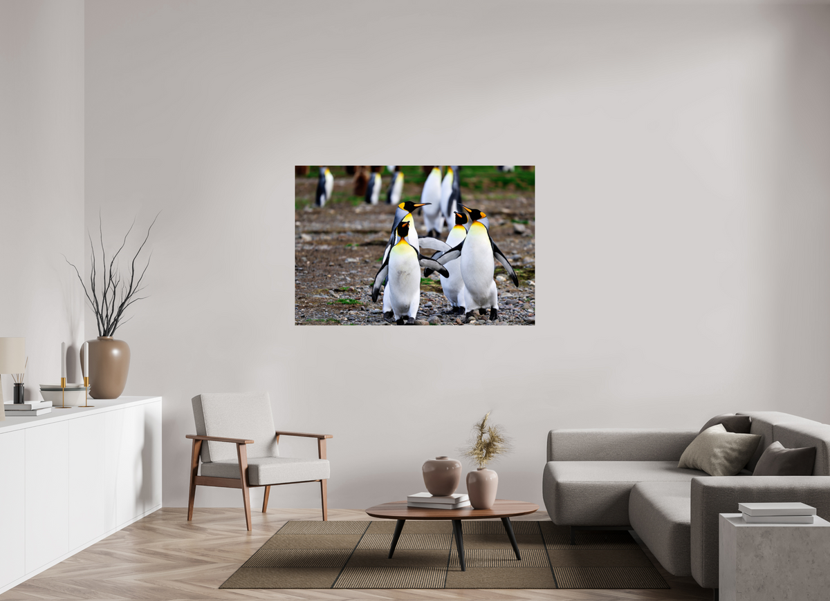 60 x 40″, Glossy Print (Unframed) A20