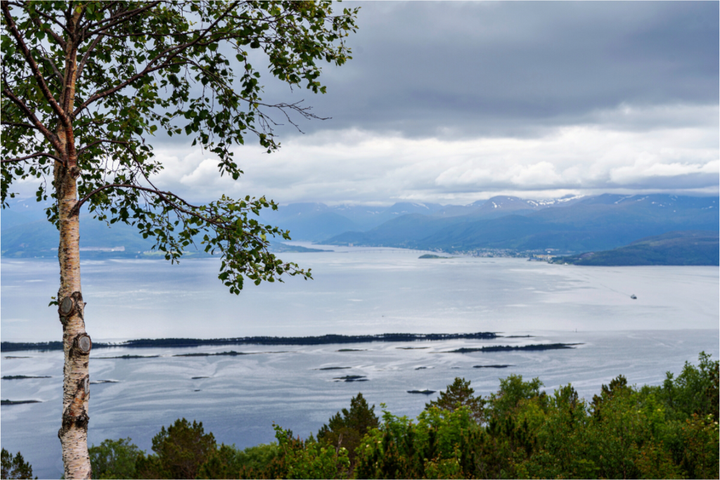 Main image Norway6